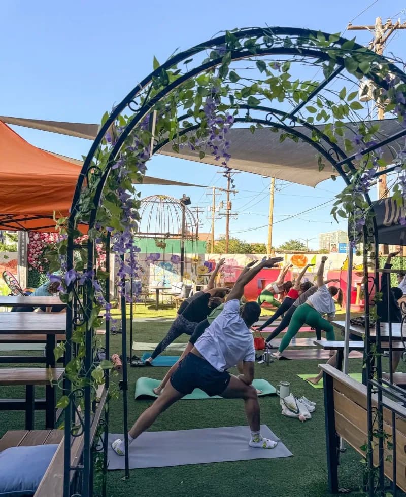 Singles Yoga Mixer at Wonderyard